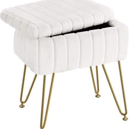 Vanity stool with storage